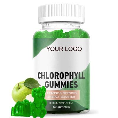 China Health Protects Private Label Natural Chlorophyll Supplement Gummies Alternative Boost Your Immune Energy & Repair Digestion Support for sale