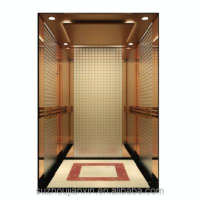 China Unique Home Elevator Display Modern Quality Guaranteed Passenger Elevator Residential Elevator for sale