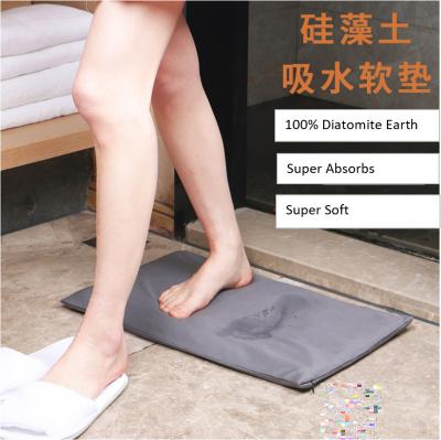 China Hot Selling Soft Cloth Powder Earth Diatomite Viable New Fashion Water Amazon Absorbent Non Slip Diatom Mud Shower Mat Bath Mat Non Slip for sale