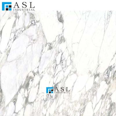 China Carrara factory venato marble white marble bianco de statuario modern stone snow white marble for sale