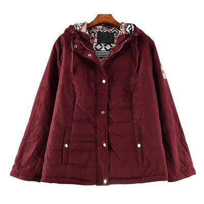 China New Autumn Winter Warm Casual Women Jacket 2020 Fashion Spring Loungewear Stocklots Thin Plus Size Hooded Loose Coat Cotton for sale