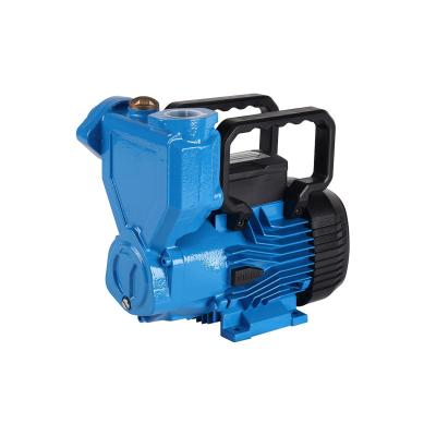 China CE Approved Mains Power Garden Pump Booster Self-priming Peripheral Water Pump for sale