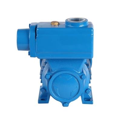 China Commercial Buildings High Pressure Peripheral Electric Water Pumps Clean Water Self--Prming Pumps New Pump for sale