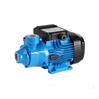 China New Design 1HP Domestic Peripheral Pump Electric Water Pumps For Garden Use for sale