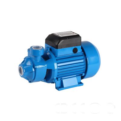 China Developing World Water Solutions Competitive Price STRATEGY Series Water Pumps 0.5HP Vortex Vacuum Water Gasoline Price for sale