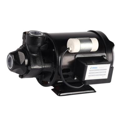 China Peripheral Commercial Buildings Water Pump PM16 0.5HP Good Quality But Competitive YINJIA Brand for sale