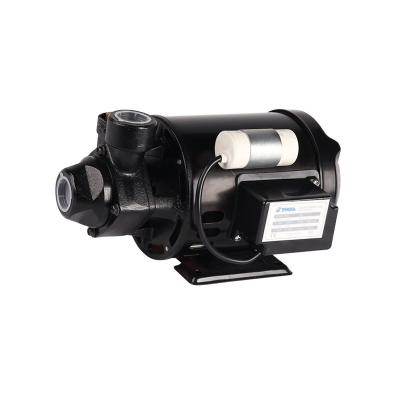 China Drinking Water Treatment Best Price Small Peripheral Water Pump Black Pumps For Water Supply for sale