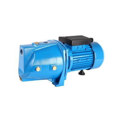 China High Quality Drinking Water Treatment 1HP JET Pumps For Household With Surface Water Pump For Water Supply for sale