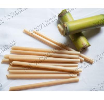 China Eco-Friendly Biodegradable Sugar Cane Straws Cane Drinking Straws Cane Straws Compostable Sugarcane Cane Straws for sale