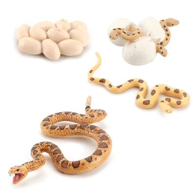 China The Snake Toys Science Figures Plastic Early Educational Toys Growth Life Cycle Set 16.5*13.5*3.5 for sale