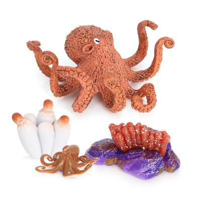 China The Cuttlefish Toys Science Project Figures Plastic Early Educational Toys Growth Life Cycle Set 16.5*13.5*3.5 for sale