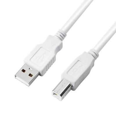 China PVC Size Quality USB2.0 Type A Male To Type B Male Print Share Cable 1.5m for sale