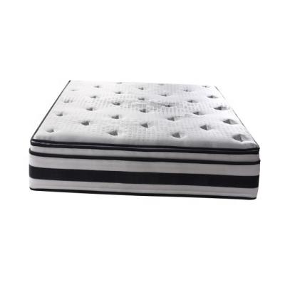 China Factory OEM Premium Environmental Medium Foam Enterprise Premium Foam Box Spring for sale