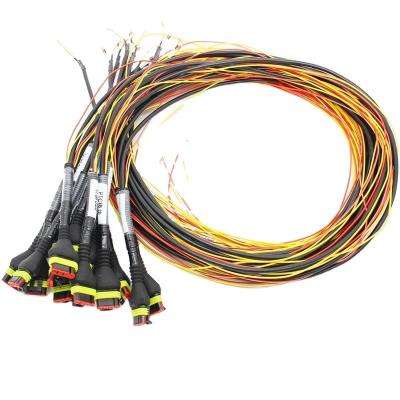 China Hydrogen Fuel Control Harness ODM/OEM 2PIN 4POS 800mm Wire TE Harness For 45KW Hydrogen Fuel Control Harness for sale