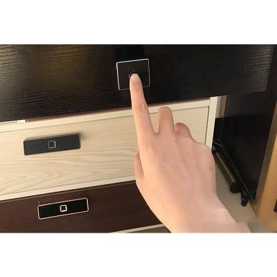 China Factory Direct Sales Smart Door Lock Smart Fingerprint Cabinet Lock Smart Door Lock for sale