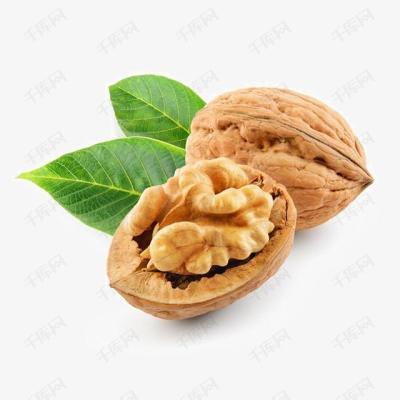 China Factory Supply Dried Walnut Factory Direct Walnut Shangluo Washed Raw Dry Paper-Skinned AA Cool Place,A Walnut China Skin Grade 55%-68% for sale