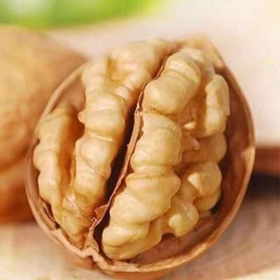 China Hot Selling Natural Dry Walnut Walnut Supplier Market Price for sale