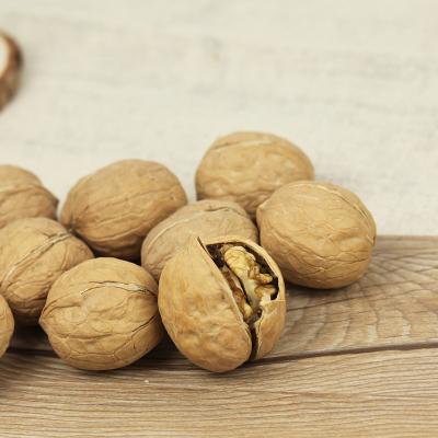 China Nutritious First Choice to export 2021 snacks, the new walnut kernels nuts kernels dry raw walnut shelling is natural and healthy for sale