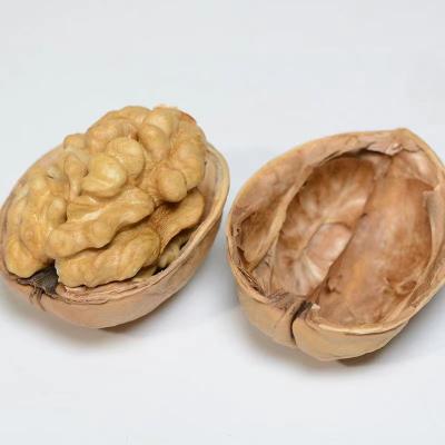 China Wholesale Nutritious Shell Walnuts Organic Thin Skin Belt Organic Food Walnut Kernels Natural Dry Raw Low Price Year for sale