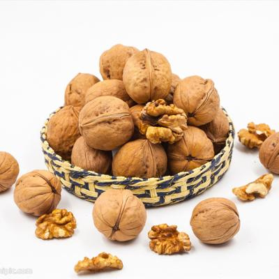 China Wholesale Organic CN Nuts Nutritious Nuts Natural Dry Raw Plant Nuts Nutritious; SHA 100% Natural Grade 30mm+ a for sale