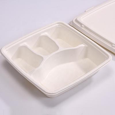 China Disposable PE Waterproof Oilproof Paper Food Take Out Box for sale