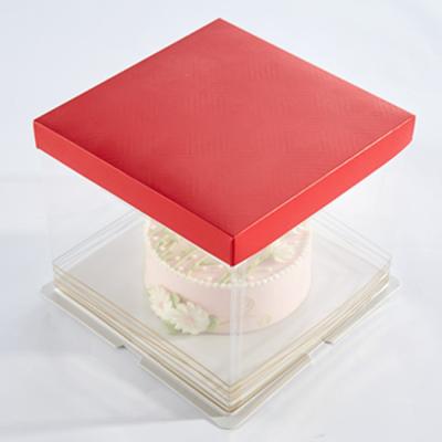 China Biodegradable High Quality Plastic Square Birthday Cake Box 6