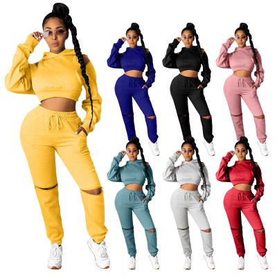 China HD526 Sustainable 4XL Plus Szie Sportswear Women Workout 2 Piece Set Plus Size Women Clothing for sale