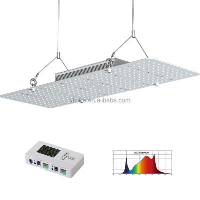 China FLOWER Florida Spectrum Factory Panel Hps 300W T5 4Ft Hot Seller 4000W Lamp 8X4 650 Watt Cob Lights Strip 220V Led Grow Light for sale