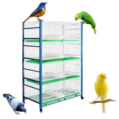 China Stocked 4 Tier Metal Indoor Stainless Wide Angle Pigeon Bird Steel Breed for sale