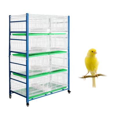 China Stocked Pigeons House Birds Enter 4 Tier Promotion List Breeding for sale