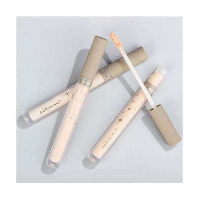 China CONCEALER OEM Custom Design Private Label Tube Concealer Makeup Concealer for sale