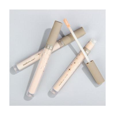 China Concealer China Various Styles Good Quality Makeup Flat Brush Liquid Concealer for sale