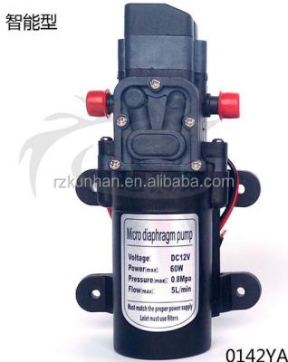 China Other DC 12v 24v High Pressure Rubber Diaphragm For Pump With Pressure Switch for sale