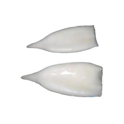 China Illex Frozen Squid Tube of Gluten Free Frozen Seafood Product for sale