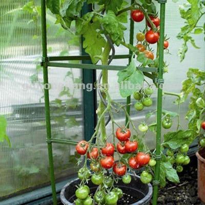 China Eco - Friendly Pe Coated Garden Tomato Support Plant Climbing Support for sale