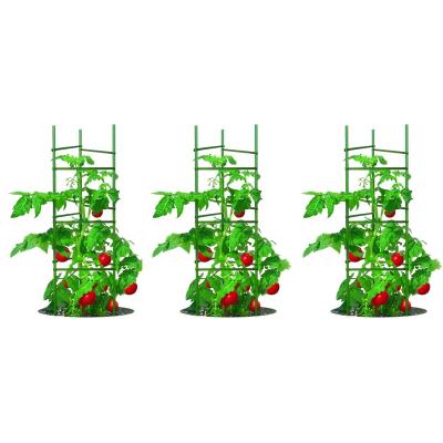 China Durable Wholesale Garden Tomato Support Plastic Coated Stake for sale