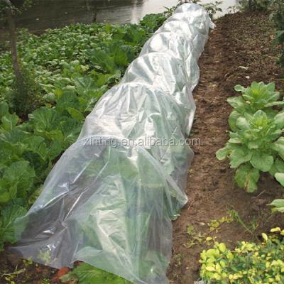 China Easily Assembled Greenhouse For Vegetalbe / Agriculture Greenhouse for sale