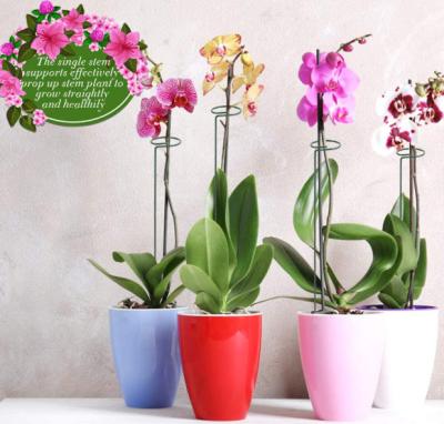 China Eco - Friendly Indoor Plant Pole Support Stakes Plastic Plant Support for sale