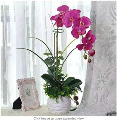 China Eco - Friendly Indoor Plastic Pole Plant Support for sale