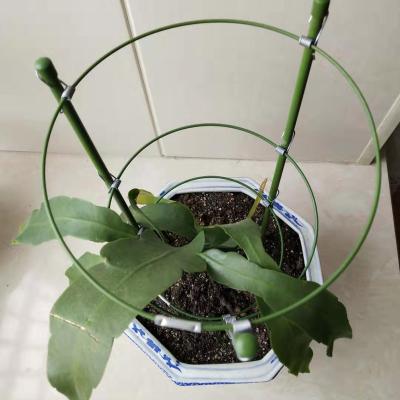 China Eco - Friendly Support Vine Net Support Pour Plant Plant Trellis Support for sale