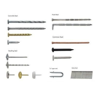 China Manufacturer Hardware Flat Stainless Steel Carbon Steel Galvanized Concrete Joint Iron Nails Foot Nail for sale