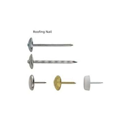 China Flat Fasteners Stainless Steel Carbon Steel Galvanized Iron Concrete Joint Nails Roofing Strip Nail for sale