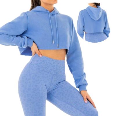 China High Quality Ladies Cropped Hoodie Pullover 100% Cotton Hoodies QUICK DRY Gym Sweatshirt Running Women Workout Running Women for sale