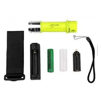 China Underwater Camping Dive Torch Led Rechargeable Flashlight 1000lumen Bottom Light 30M Underwater Dive Torch Led Rechargeable for sale