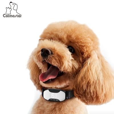 China 7 Levels Morocco Factory Intensity Antibark Adjustable Direct Rechargeable Dog Collar Electric Dog Training Collar for sale