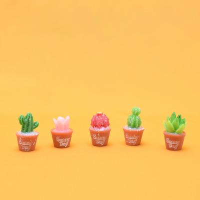 China / 6 Styles Potted Mini Arificial Plant Cactus Succulents Bonsai Figures Resin Craft Doll Room Decor Mini Greenhouse Miniatures for sale