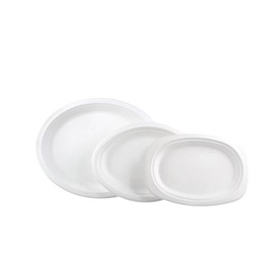 China Disposable Customized Disposable Bowl Biodegradable Sugarcane Pulp Dish 6 Inch Disposable Paper Dishes for sale