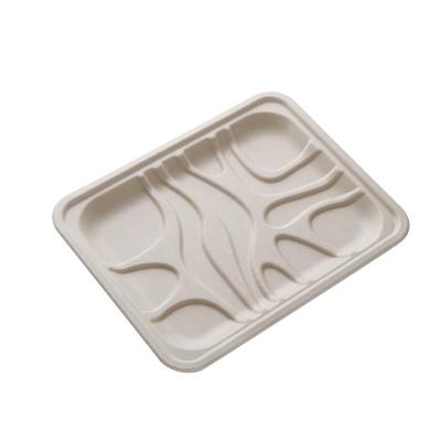 China Disposable Biodegradable Rectangular Fresh Food Tray Meat Tray Sugarcane Bagasse Sushi Paper Plate for sale