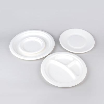 China Various Sizes Sugarcane Bagasse Compostable Biodegradable Fast Food Disposable Dishes Microwavable for sale