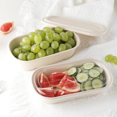 China Hot Selling Biodegradable Disposable Paper Bagasse Microwavable Bento Lunch Box Takeout Tableware Food Container for sale